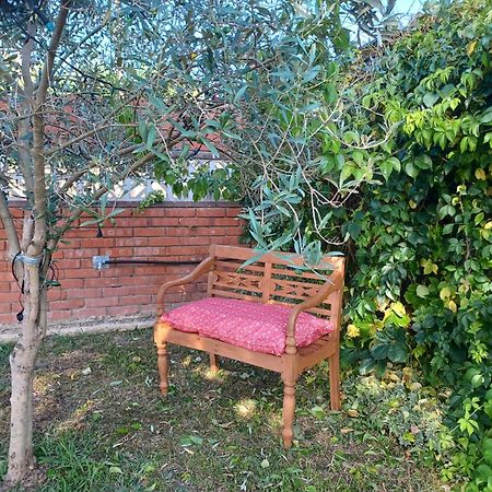 Willa Piscina De Sal Barbacoa Wifi, Parking Gratis, 3 Min Pga Casa El Roble Girona Zewnętrze zdjęcie